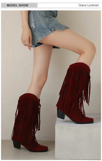 Santiag haute marron Daim Synthétique Femme - Franges longues avec talon cubique 2