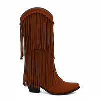 Santiag haute marron Daim Synthétique Femme - Franges longues avec talon cubique 2
