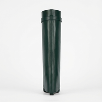 Botte haute vert Cuir Femme - Santiags vertes épurées avec boucle dorée 2