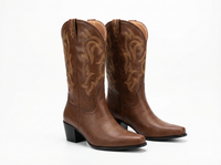 Santiag basse marron Simili Cuir Femme - Broderies western et talon carré élégant 1